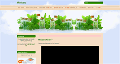 Desktop Screenshot of minisera.com